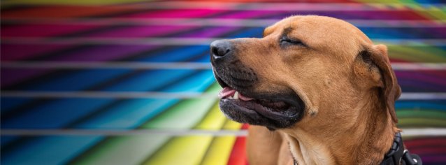 can best friends date