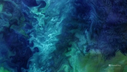 download bing wallpaper