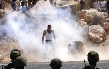 freddie mercury instagram