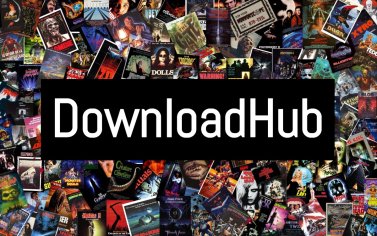 downloadhub app