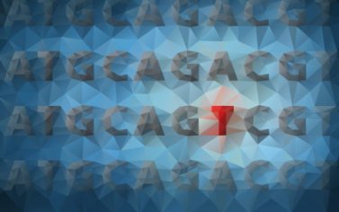 which best describes genetic mutations