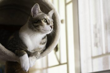 recetas fuera de tu comunidad autonoma