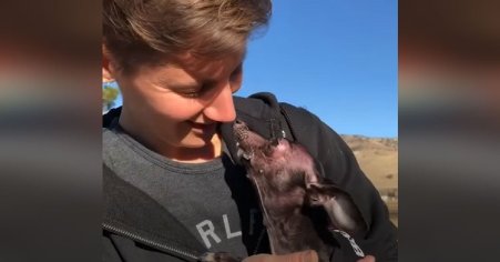 freddie mercury home