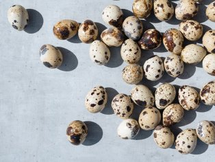 how to cook quail eggs