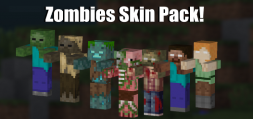 download 5d skin pack
