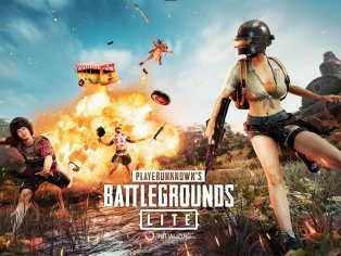 download pubg lite for pc