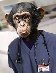 justin bieber 4th of july 2022