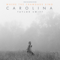 taylor swift carolina song