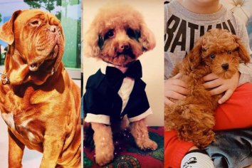 lionel messi con su perro