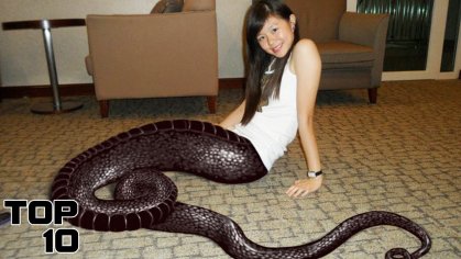 Top 10 Crossbreeding Experiments From Hell