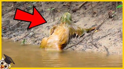 10 Engste Dingen Gevonden In Rivieren - Deel 2