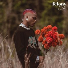 download ckay felony
