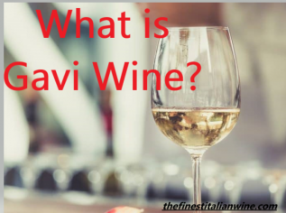 difference between gavi and gavi di gavi
