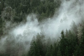 bella where the hell you been loca