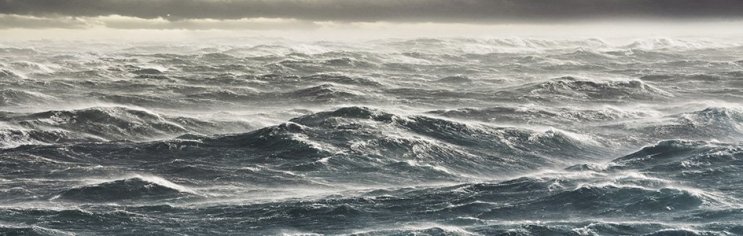 which best describes the fossil record