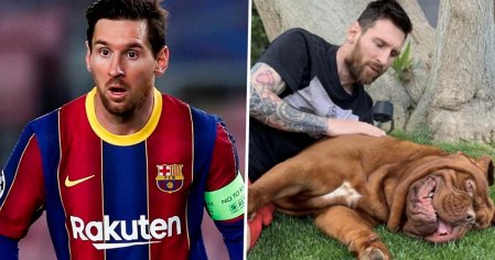 lionel messi hulk dog