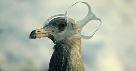 Top 10 Terrifying Creatures Discovered In The Mariana Trench