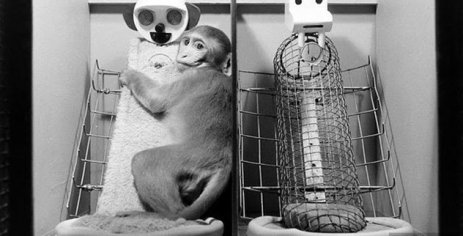 Top 10 Real People That Are TOO EVIL For Prison - Part 3