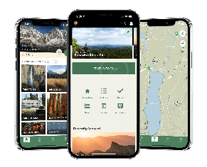 download nps statement