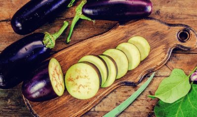 receitas no airfryer