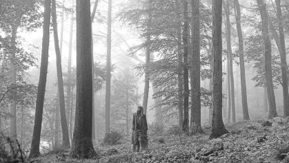 taylor swift folklore