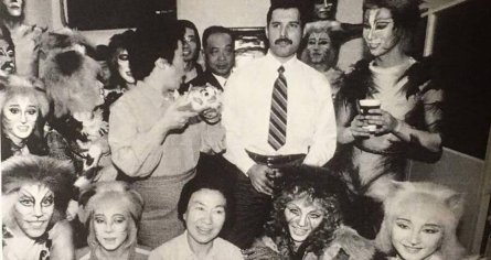 freddie mercury cats