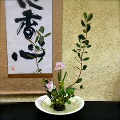 download 5d planner premium gratis